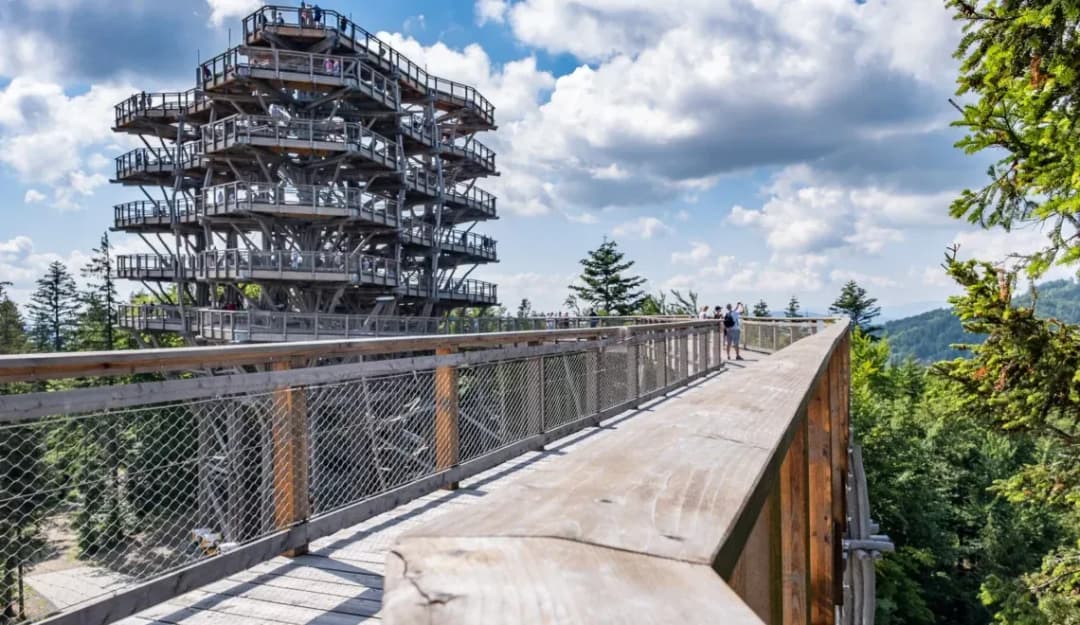 Najlepsze punkty widokowe w Krynicy Zdrój - wieże widokowe i spacery