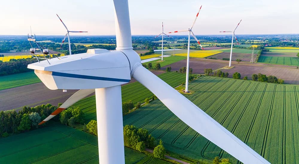 OZE w Niemczech: jak nasi zachodni sąsiedzi stali się liderem energii odnawialnej