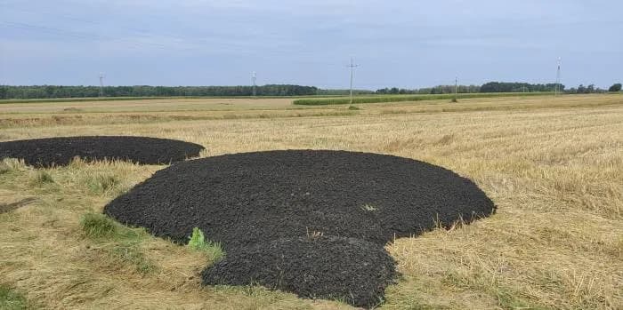 Osad z oczyszczalni na pole: prawne zasady i bezpieczne stosowanie nawozów
