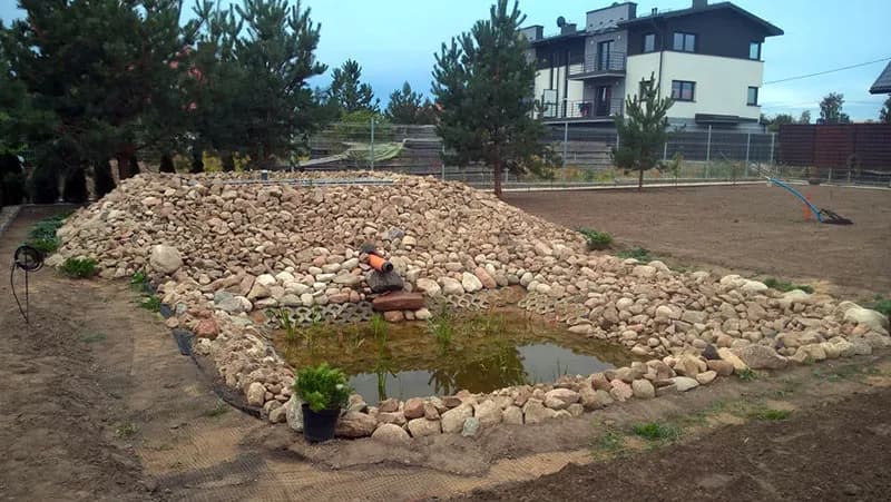 Oczyszczalnie roślinne: jak działają i dlaczego są tak skuteczne w 2025