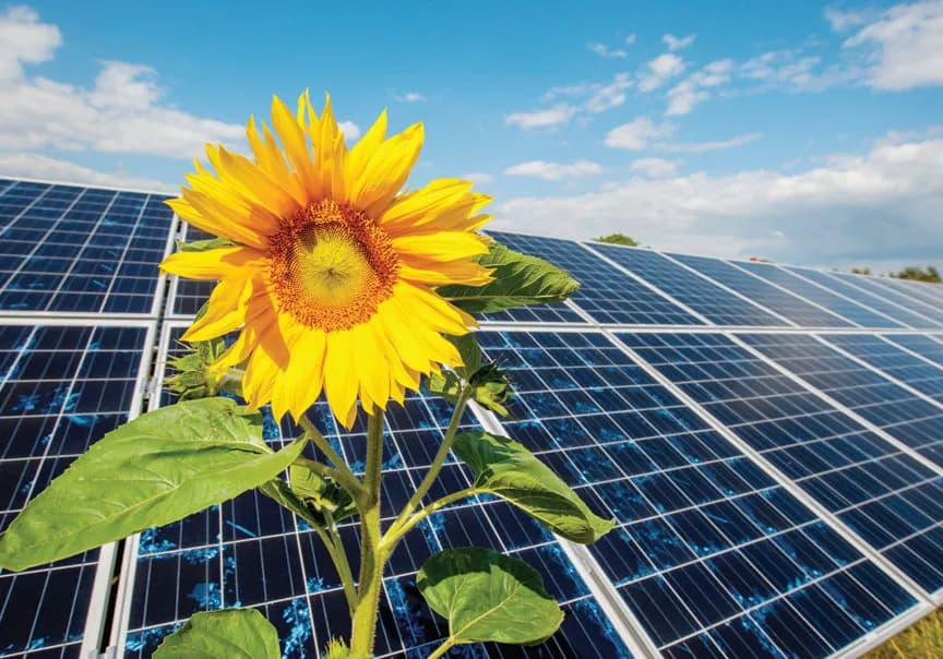 Czernikowo elektrownia słoneczna: jak wpływa na energię i środowisko