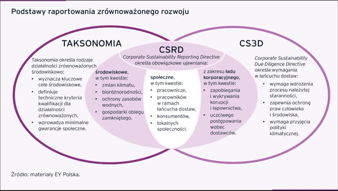 Raport zrównoważonego rozwoju: Kluczowe informacje i przykłady firm