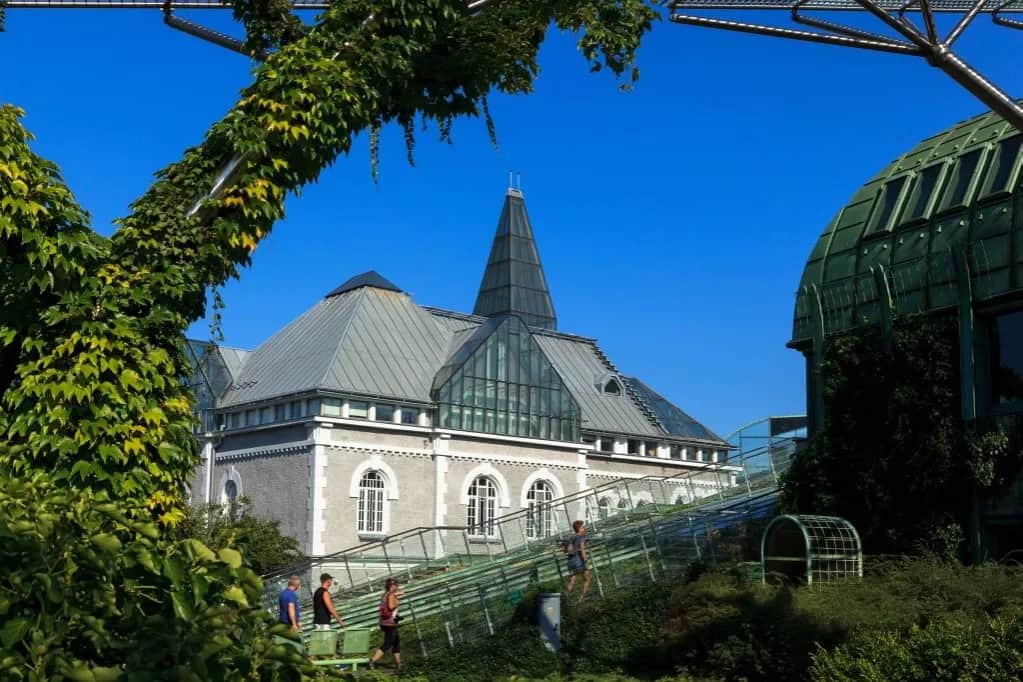 Ogród na dachu Biblioteki Uniwersytetu Warszawskiego - zobacz najnowsze zdjęcia i opis