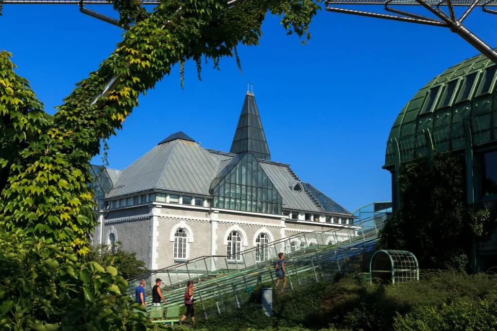 Ogród na dachu Biblioteki Uniwersytetu Warszawskiego - zobacz najnowsze zdjęcia i opis