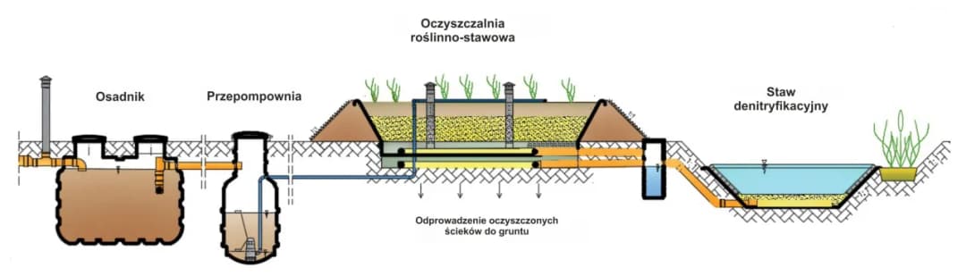 Oczyszczalnia trzcinowa schemat: kompletna budowa systemu biologicznego